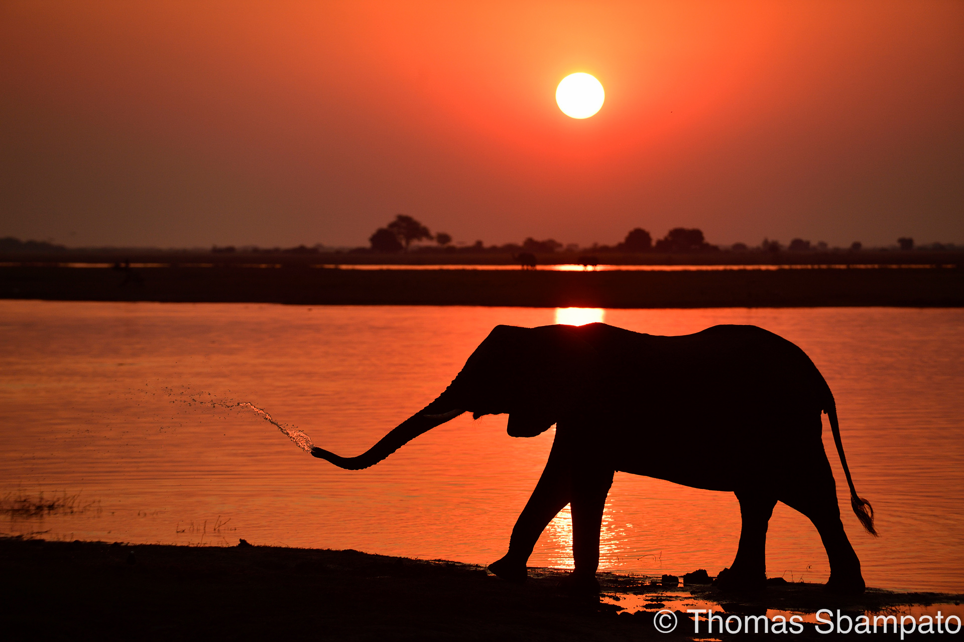 Namibia - Bild: T. Sbampato